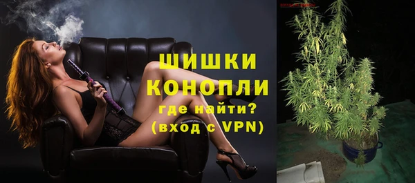 ГАЛЛЮЦИНОГЕННЫЕ ГРИБЫ Инсар
