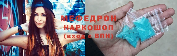 стаф Инта
