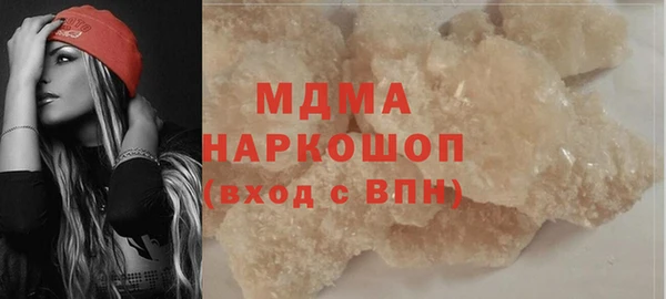 стаф Инта