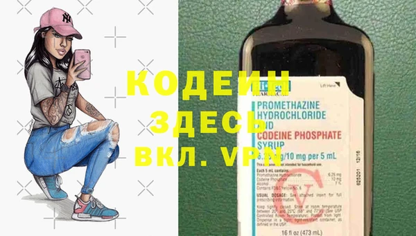 стаф Инта
