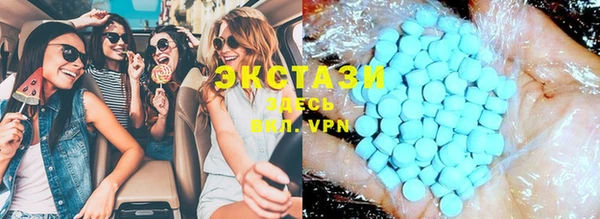 стаф Инта