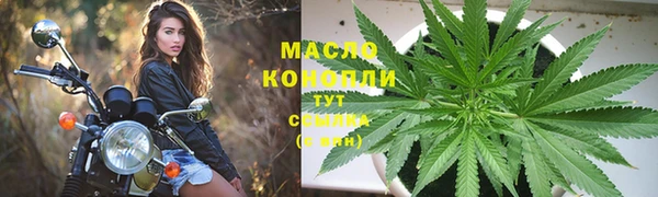 стаф Инта