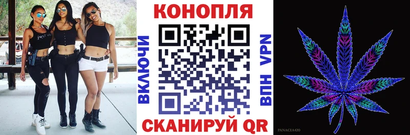darknet какой сайт Севск Бошки марихуана семена как найти закладки